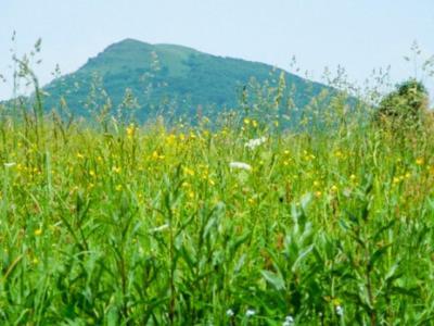 Caloroczne Domki Zacisze Hnatowego Berda W Wetlinie Wetlina Luaran gambar